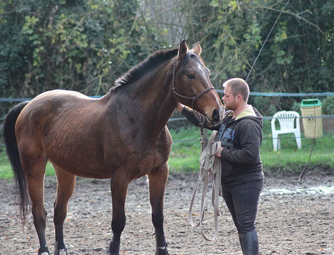 Cours d'équitation individuels à La Croix Saint-Ouen