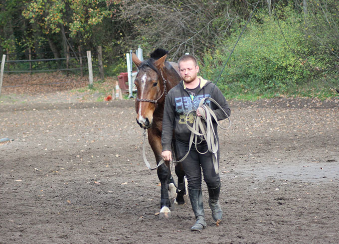 Débourrage jeune cheval à Compiègne