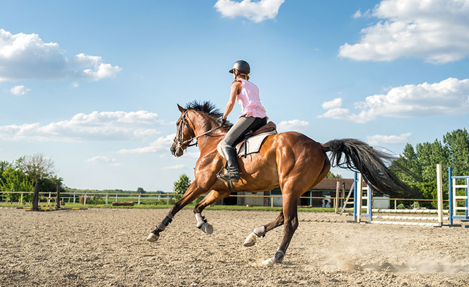 Entretien physique de votre cheval à La Croix Saint-Ouen