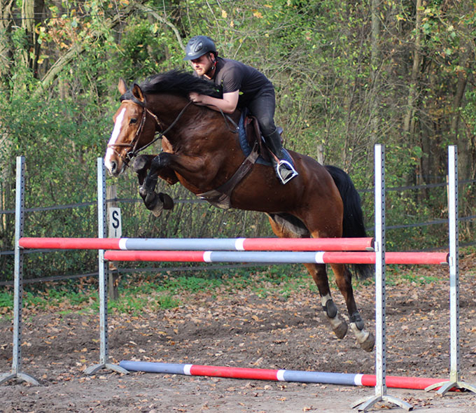 Entretien physique de votre cheval à Compiègne