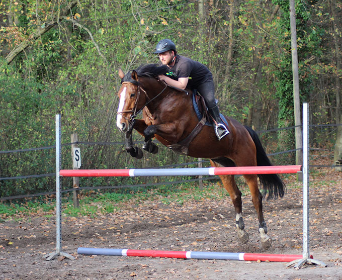 Cavalier et moniteur d'équitation indépendant à La Croix Saint-Ouen
