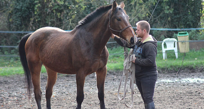 Cavalier et moniteur d'équitation indépendant à La Croix Saint-Ouen