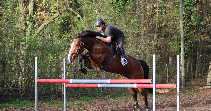 Préparation aux concours d'équitation à La Croix Saint-Ouen