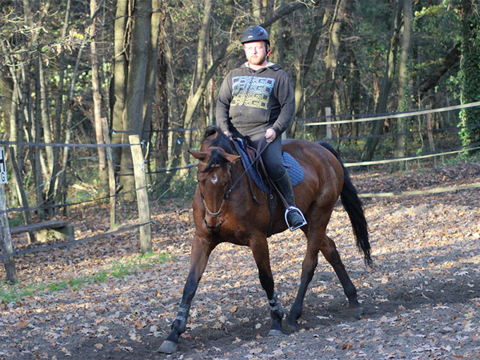 Prestations et tarifs des prestations équitation à Compiègne