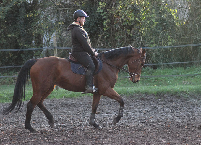 Xavier Delecluse, cavalier et moniteur d'équitation indépendant à Compiègne