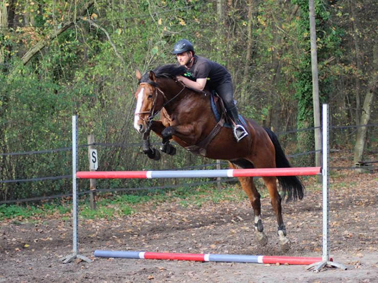 
												Cours individuel d'équitation à Compiègne