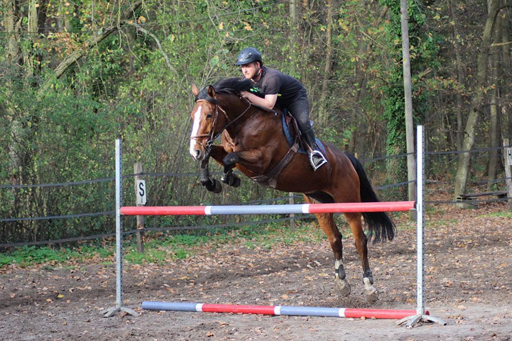 Cours d'équitation à La Croix Saint-Ouen