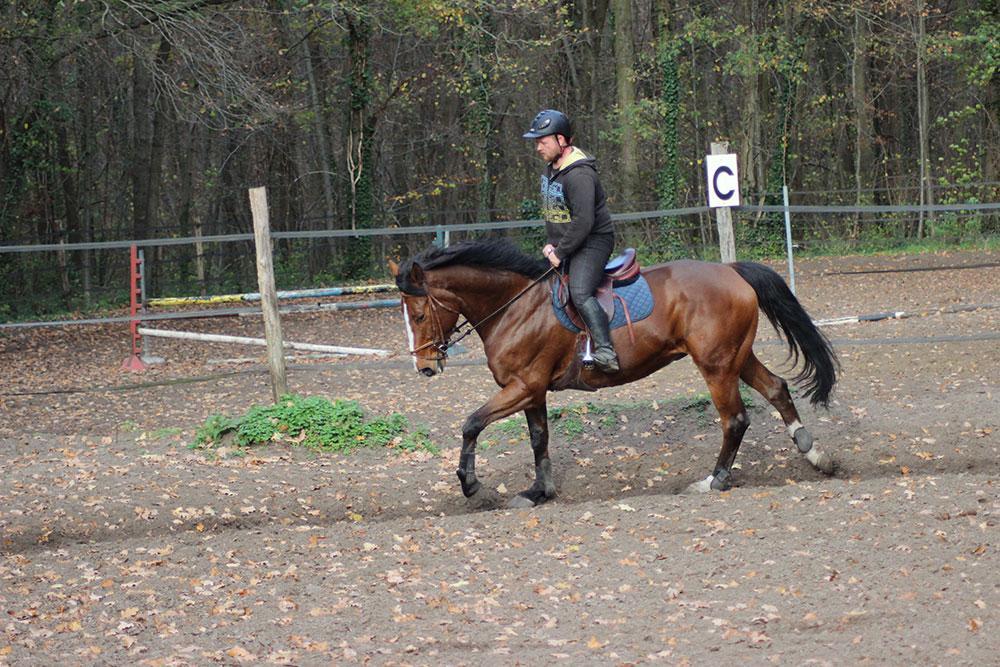 Cours d'équitation à La Croix Saint-Ouen