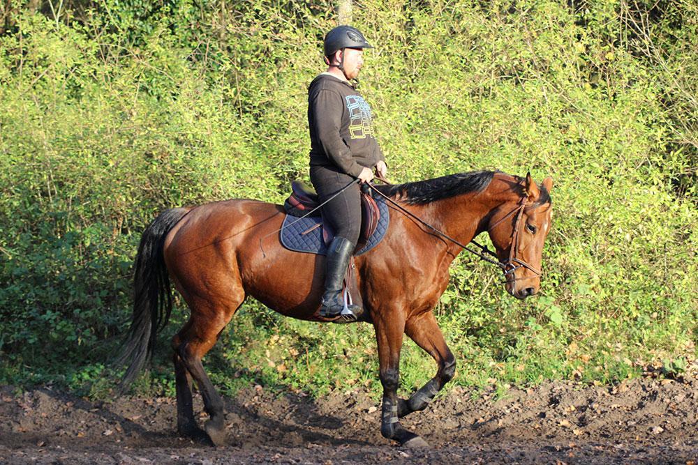 Cours d'équitation à La Croix Saint-Ouen