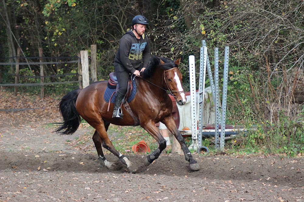 Cours d'équitation à La Croix Saint-Ouen